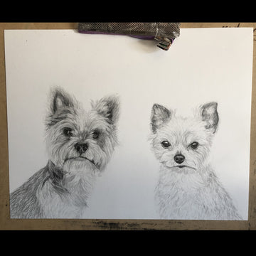 Pencil drawing: 11x14" Dual Subject